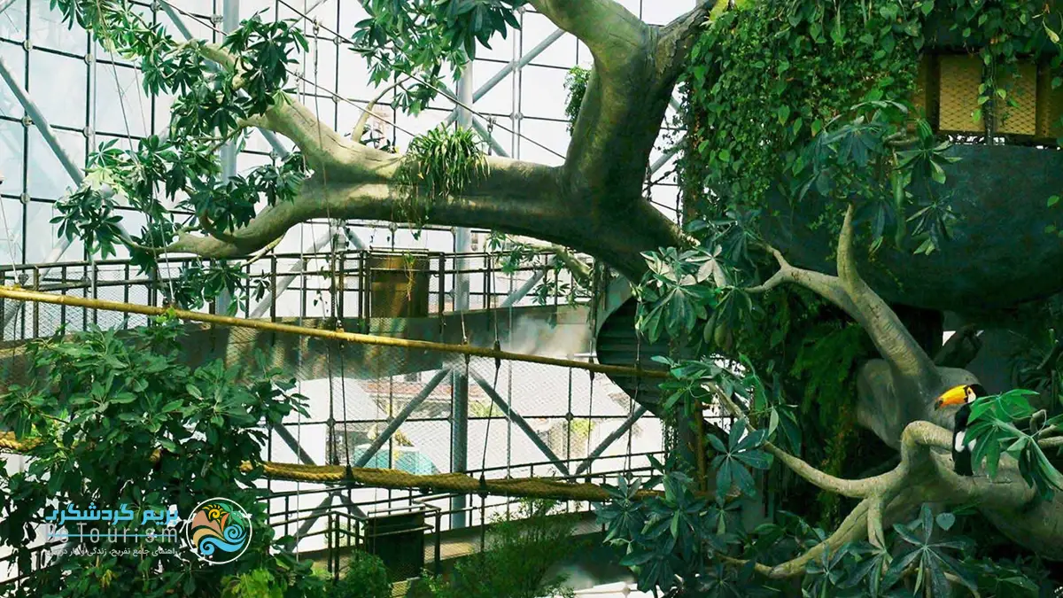 گرین پلنت یا سیاره سبز دبی