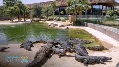 پارک کروکودیل دبی