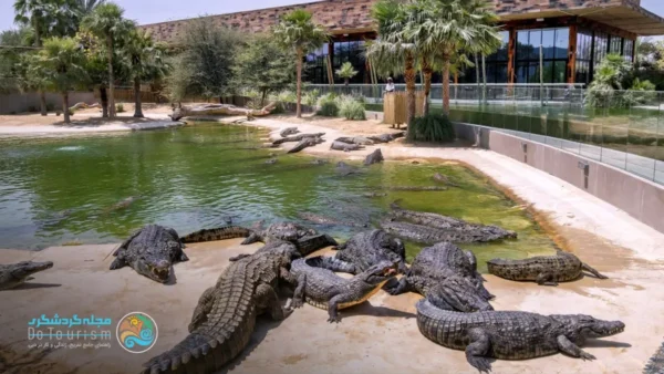 پارک کروکودیل دبی